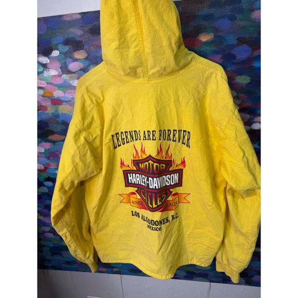 Vintage 90s Harley Davidson Los Algodones Mexico Hooded Windbreaker Jacket - Picture 7 of 7